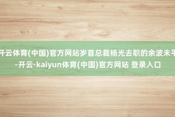开云体育(中国)官方网站岁首总裁杨光去职的余波未平-开云·kaiyun体育(中国)官方网站 登录入口