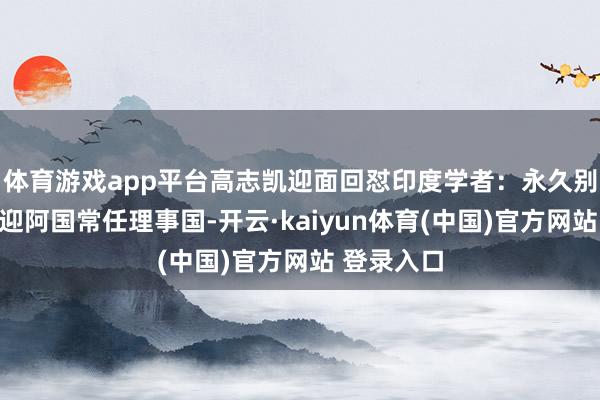 体育游戏app平台高志凯迎面回怼印度学者：永久别念念当上迎阿国常任理事国-开云·kaiyun体育(中国)官方网站 登录入口
