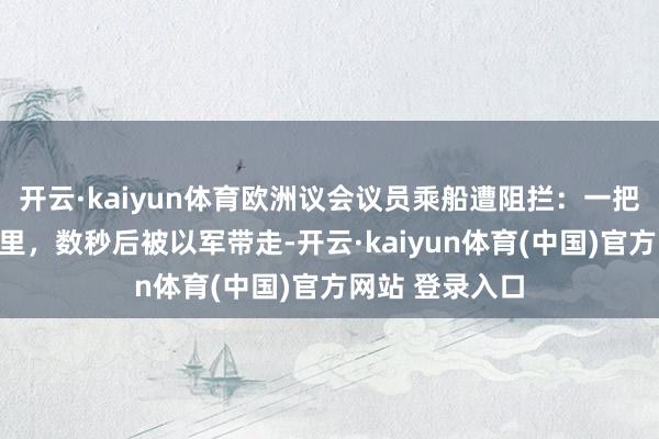开云·kaiyun体育欧洲议会议员乘船遭阻拦：一把将手机丢进海里，数秒后被以军带走-开云·kaiyun体育(中国)官方网站 登录入口
